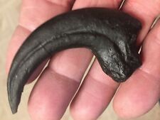 Raptor claw dinosaur for sale  New York