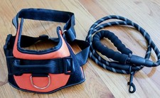 Pull dog pet for sale  Chicopee