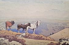 Allen seaby 1867 for sale  NORWICH