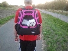 rucksack trolley hunde gebraucht kaufen rucksack trolley hunde gebraucht kaufen  Rülzheim