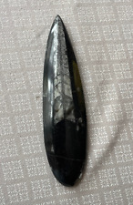 Orthoceras fossile pierre d'occasion  Bourg-en-Bresse
