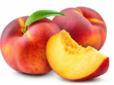 Cuttings peach trees for sale  Fremont