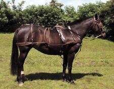Sale new complete for sale  CUMNOCK