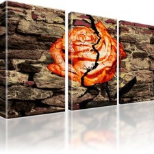 Rose abstrakt mauer gebraucht kaufen  Deutschland