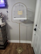 bird canary for sale  Reesville