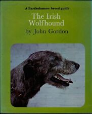 Irish wolfhound dog for sale  LONDON