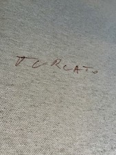 Giulio turcato acropoli usato  Rende
