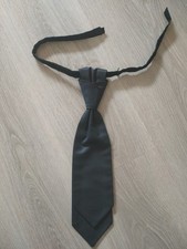 Plastron wilvorst zur gebraucht kaufen  Bad Säckingen