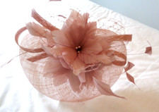Bees fasinator blush for sale  MIDDLESBROUGH