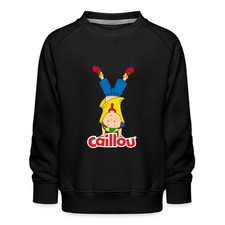 Caillou macht einen gebraucht kaufen  Leipzig