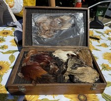 pheasant feathers for sale pheasant feathers for sale LONDON