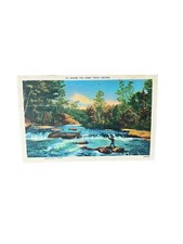 Gamey trout abound for sale  Newburgh
