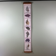 Beach home decor for sale  Belleville