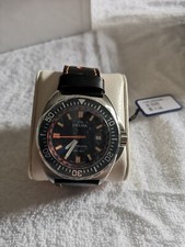Delma shell star gebraucht kaufen  Gerstungen