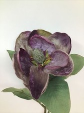 Magnolia floral pick for sale  Novi