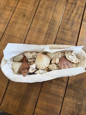 shells full basket sea for sale shells full basket sea for sale Staatsburg