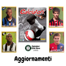 Calciatori panini 2007 usato  Torino
