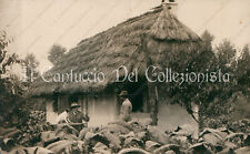1929 pizzighettone coltivatore usato  Cremona