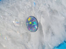 Schöne australische pal gebraucht kaufen Schöne australische pal gebraucht kaufen  Schweitenkirchen