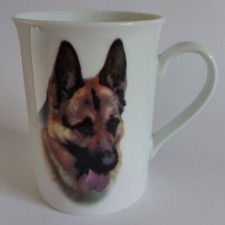 German shepherd alsatian for sale  BEWDLEY