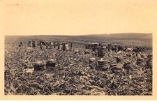 Congo san53921 mines d'occasion  France