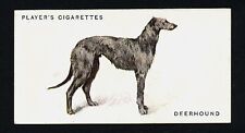 Deerhound players 1931 for sale  COLEFORD
