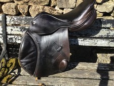 Harry dabbs jumping for sale  RICHMOND