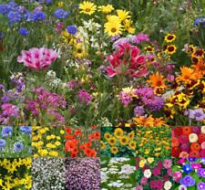 Native wild flower for sale  BORDON