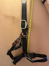 Large leather horse for sale  AYLESFORD
