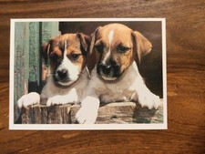 Hundepostkarte person jack gebraucht kaufen  Borna