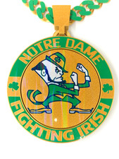Notre dame hologram for sale  Plano