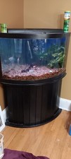 Aquarium corner fish for sale  Sheboygan