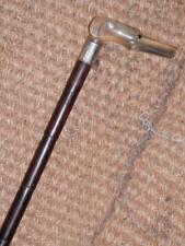 Antique bovine horn for sale  PONTYCLUN