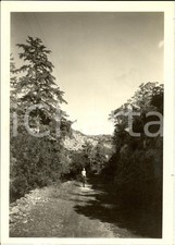1935 uadi cuf usato  Milano
