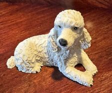 Cute white poodle for sale  Woonsocket