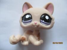 Petshop chat sphynx d'occasion  Expédié en Belgium