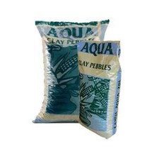Canna aqua clay for sale  DUNMOW