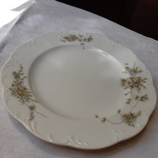 Kuchenteller teller rosenthal gebraucht kaufen  Nürnberg