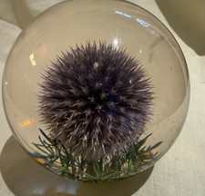 Vintage hippocampus thistle for sale Vintage hippocampus thistle for sale  STOWMARKET