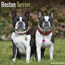 Calendrier 2021 boston d'occasion  Troyes