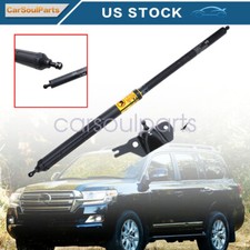Trunk door limit for sale  USA