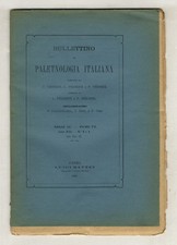 Bullettino paletnologia italia usato  Firenze