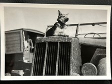 Foto wk2 wehrmacht gebraucht kaufen  Mannheim