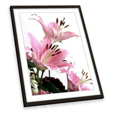 Pink lilies flowers for sale Pink lilies flowers for sale  UK