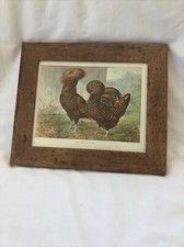 1900 ludlow framed for sale  HAYWARDS HEATH