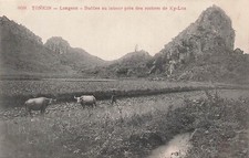 Tonkin langson buffaloes d'occasion  Expédié en Belgium