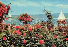 Evian bains terrasse d'occasion  France
