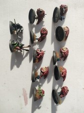 12x squig herd for sale  BRISTOL