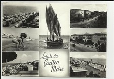 Saluti gatteo mare usato  Oliveto Lario