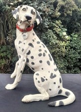 dalmatian dog for sale dalmatian dog for sale BIRMINGHAM